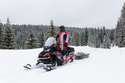 Снегоход AODES Snowcross 1000 WT оптом, фото 21