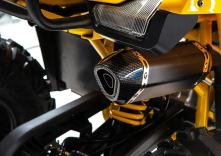 Квадроцикл MOTOLAND 125 Wild (2021 Г.) оптом, фото 5