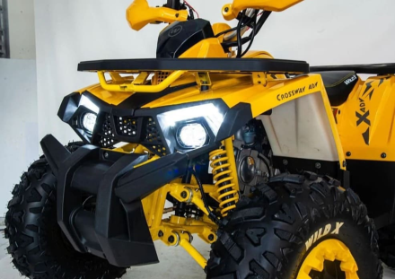 Квадроцикл MOTOLAND 125 Wild (2021 Г.) оптом, фото 2