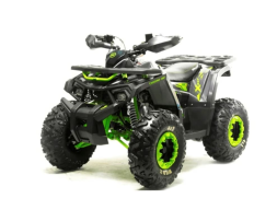 Квадроцикл MOTOLAND 125 Wild (2021 Г.), фото 1