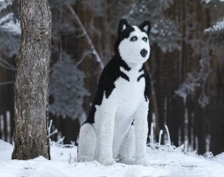 Топиари собака хаски, Бреста - газон Eco, фото 1