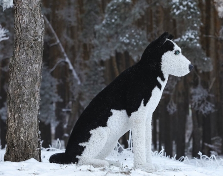 Топиари собака хаски, Бреста - газон Eco оптом, фото 2