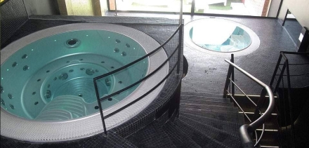 Спа-бассейн Wellis Acapulco Deep-In оптом, фото 6
