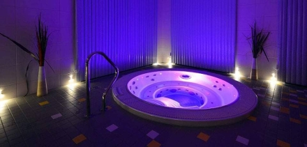 Спа-бассейн Wellis Acapulco Deep-In оптом, фото 5