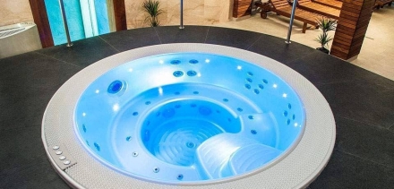 Спа-бассейн Wellis Acapulco Deep-In оптом, фото 4