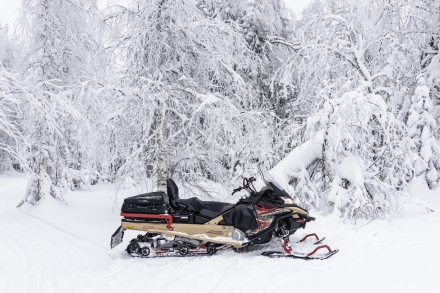 Снегоход AODES Snowcross 1000 SWT SC оптом, фото 6