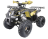 Квадроцикл ATV Termit TT оптом