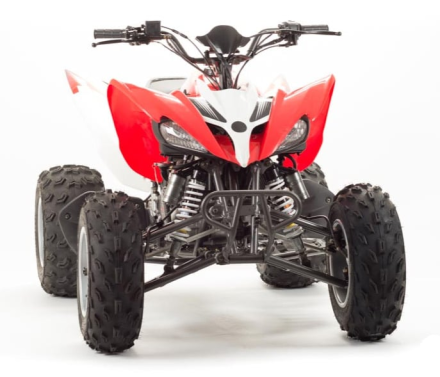 Квадроцикл MOTOLAND 125S (2020 Г.) оптом, фото 8