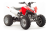 Квадроцикл MOTOLAND 125S (2020 Г.) оптом