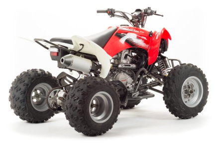 Квадроцикл MOTOLAND 125S (2020 Г.) оптом, фото 5