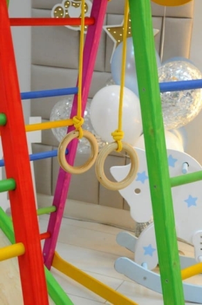 Детский спортивный комплекс PERFETTO KIDS Pappagallo PS-231 оптом, фото 5