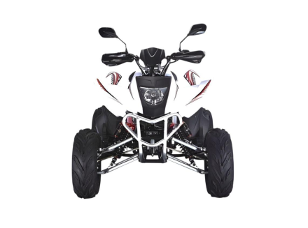 Квадроцикл RATO RТ250SТ-2 оптом, фото 2