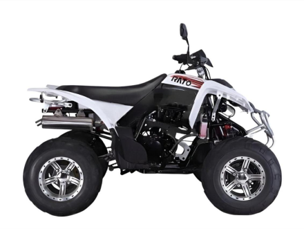 Квадроцикл RATO RТ250SТ-2 оптом, фото 1