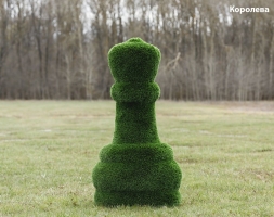 Топиари шахматы Король/Королева - газон Deluxe, фото 1