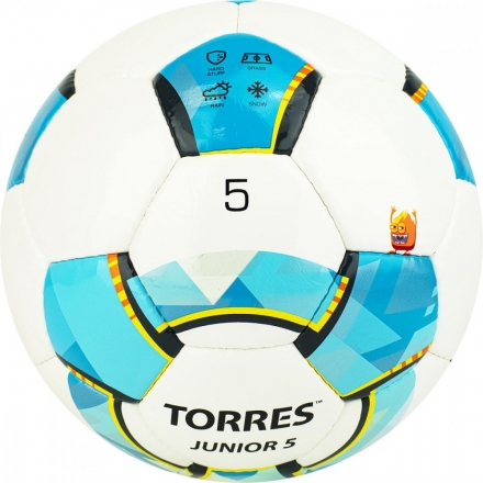Мяч футбольный TORRES JUNIOR-5, р.5, F320225 оптом, фото 4