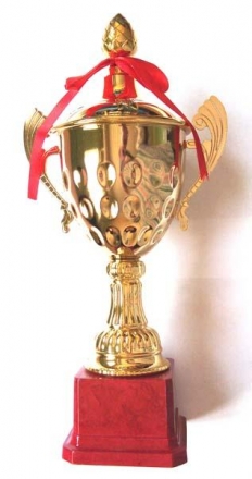 Кубок D17 A оптом, фото 1