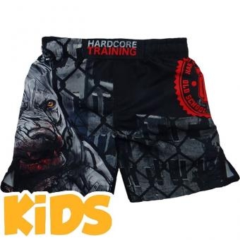 Шорты Hardcore Training hctshorts045 оптом, фото 1