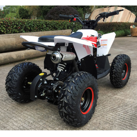 Детский квадроцикл Gekkon 70 (1+1) оптом, фото 4