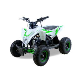 Детский квадроцикл Gekkon 70 (1+1), фото 1