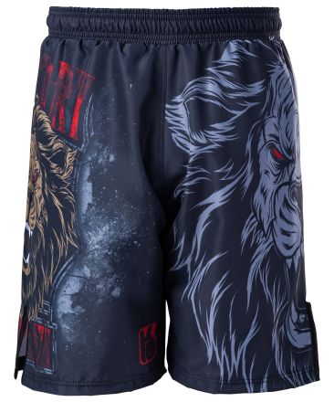 Шорты для MMA Lion SH-101, детские оптом, фото 2