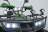 Квадроцикл STALKER 250 Hummer оптом