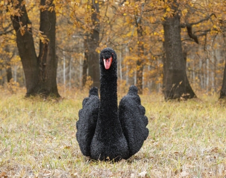 Топиари  2 лебедя черных Блэк - газон Eco  оптом, фото 4