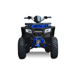 Квадроцикл Progasi Race Jumper 200, фото 2