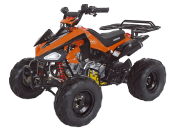 Квадроцикл ABM Scorpion 125A, фото 1